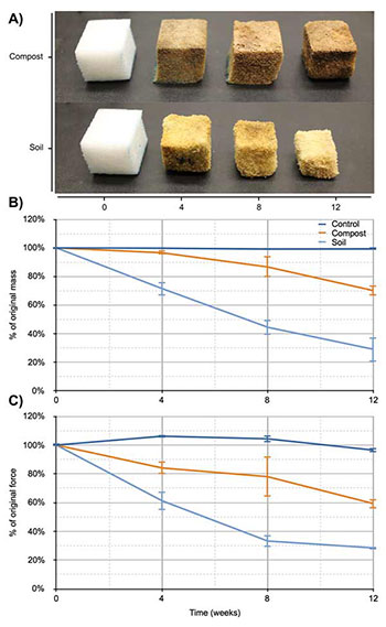 Chart illustrating biodegradation of PU cubes over 12 weeks.