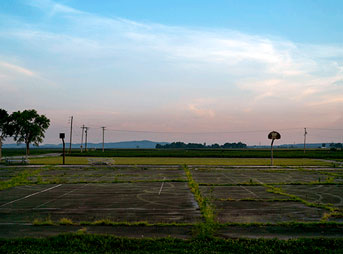 Grass grown over an old basketball court