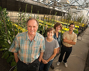UC Davis lettuce research team