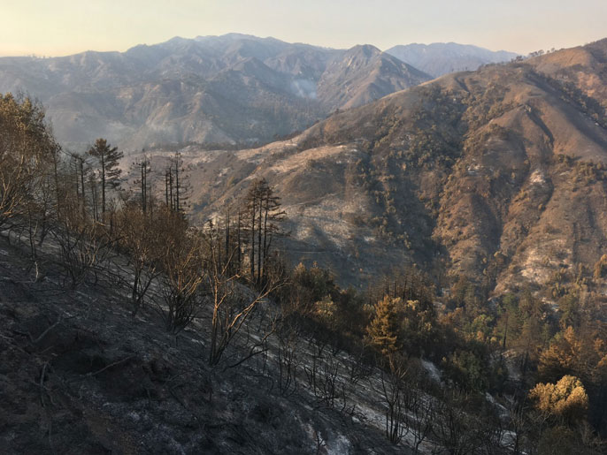 Hills burned from the Dolan Fire