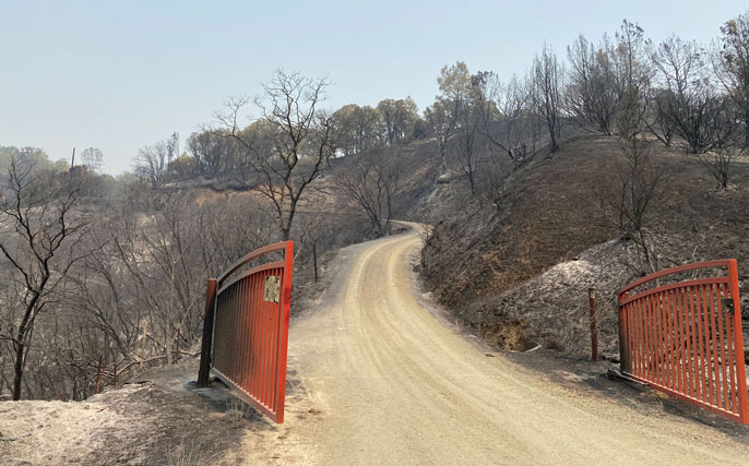 Gates opening to burned out reserve
