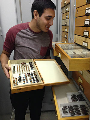 Joshua Oliva holds a tray of insect specimens