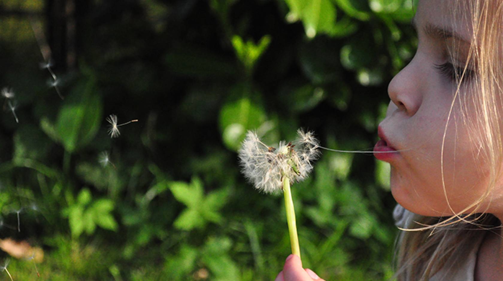 Girl with a dandelion