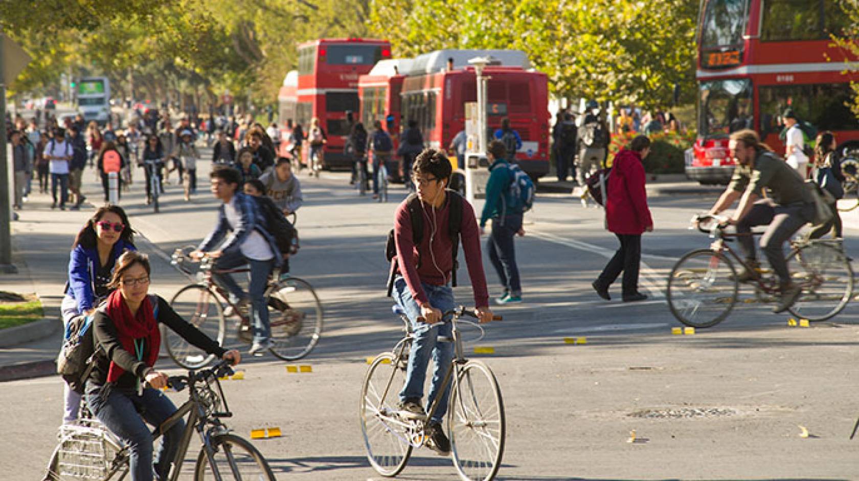 Cyclists in Davis