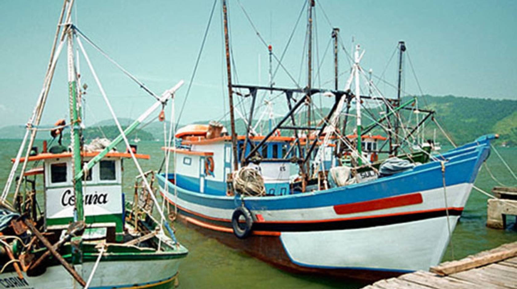 Fisheries need to improve sustainable practices before doing business on global seafood market.