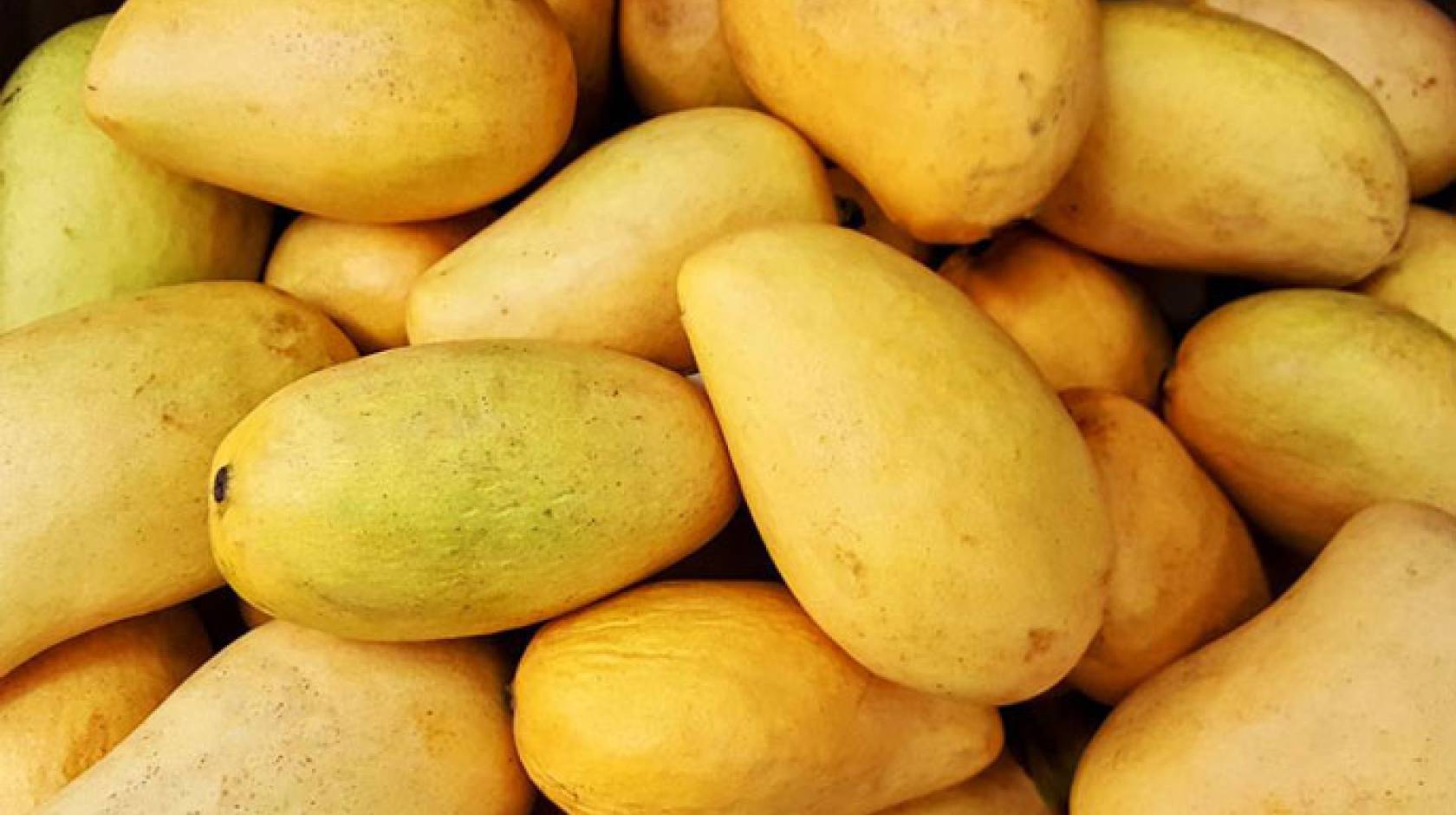 Pile of mangoes