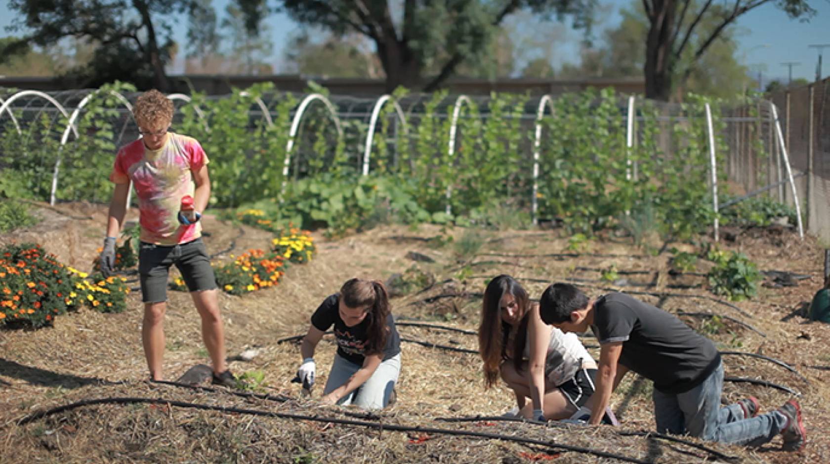 Students taking a new course on food justice at UCLA learn about the topic from the ground up. The course is part of a new food studies minor, one of a growing number of interdisciplinary programs that have become popular to take.