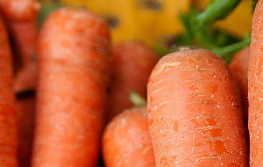 Genome sequencing reveals how carrots have become good at accumulating carotenoids, the pigment compounds that give them their characteristic colors and nutritional richness.