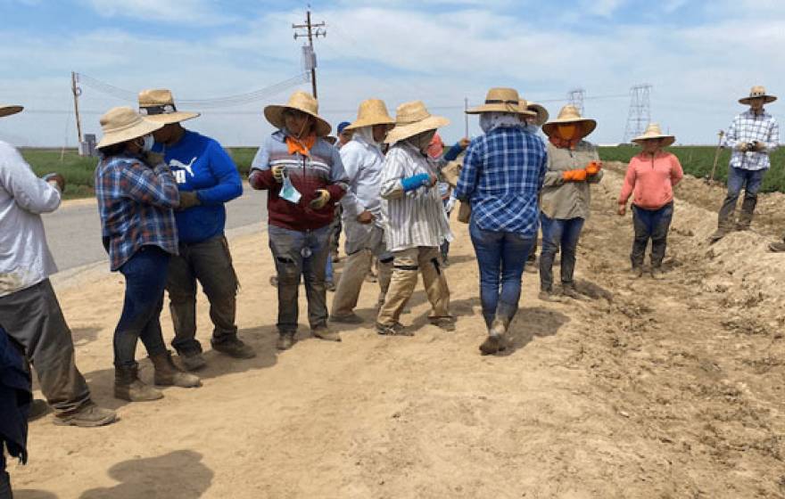 Farmworkers standing outside in a line next to a field