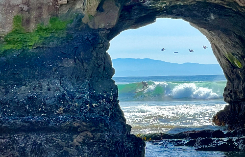 Man surfing a wave photographed through a cove with birds flying over