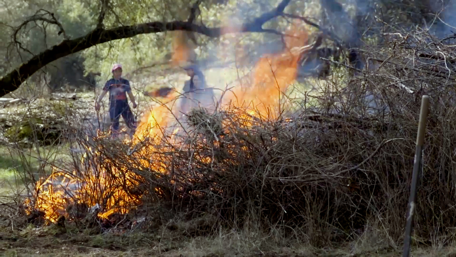 The West Must Learn from Indigenous Communities Who Have Lived With  Wildfire for Thousands of Years - In These Times