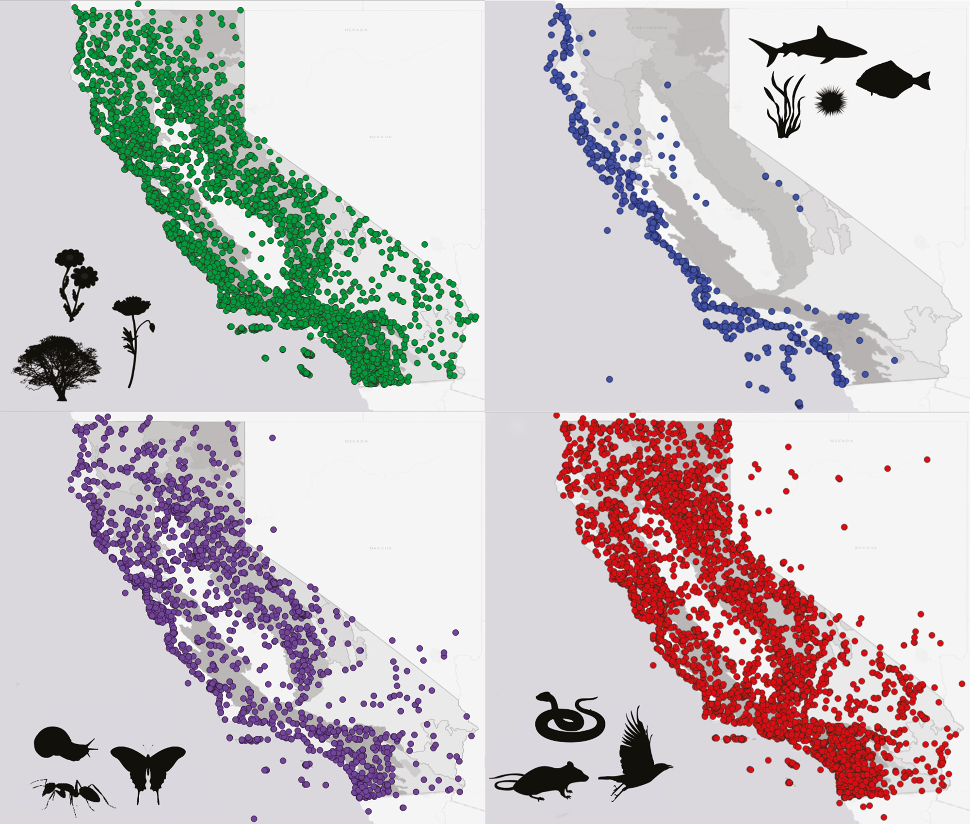Four colorful maps expressing population patterns of plants, marine life, insects and birds and land animals