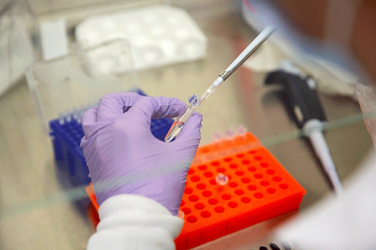 A person holds a vial with gloves and uses a pipette