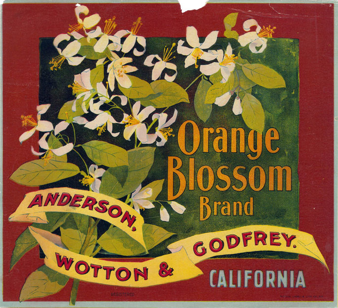Orange Blossom brand label with an orange blossom on it
