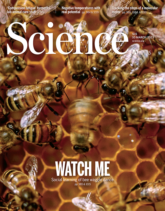 Cover of Science with bees on it