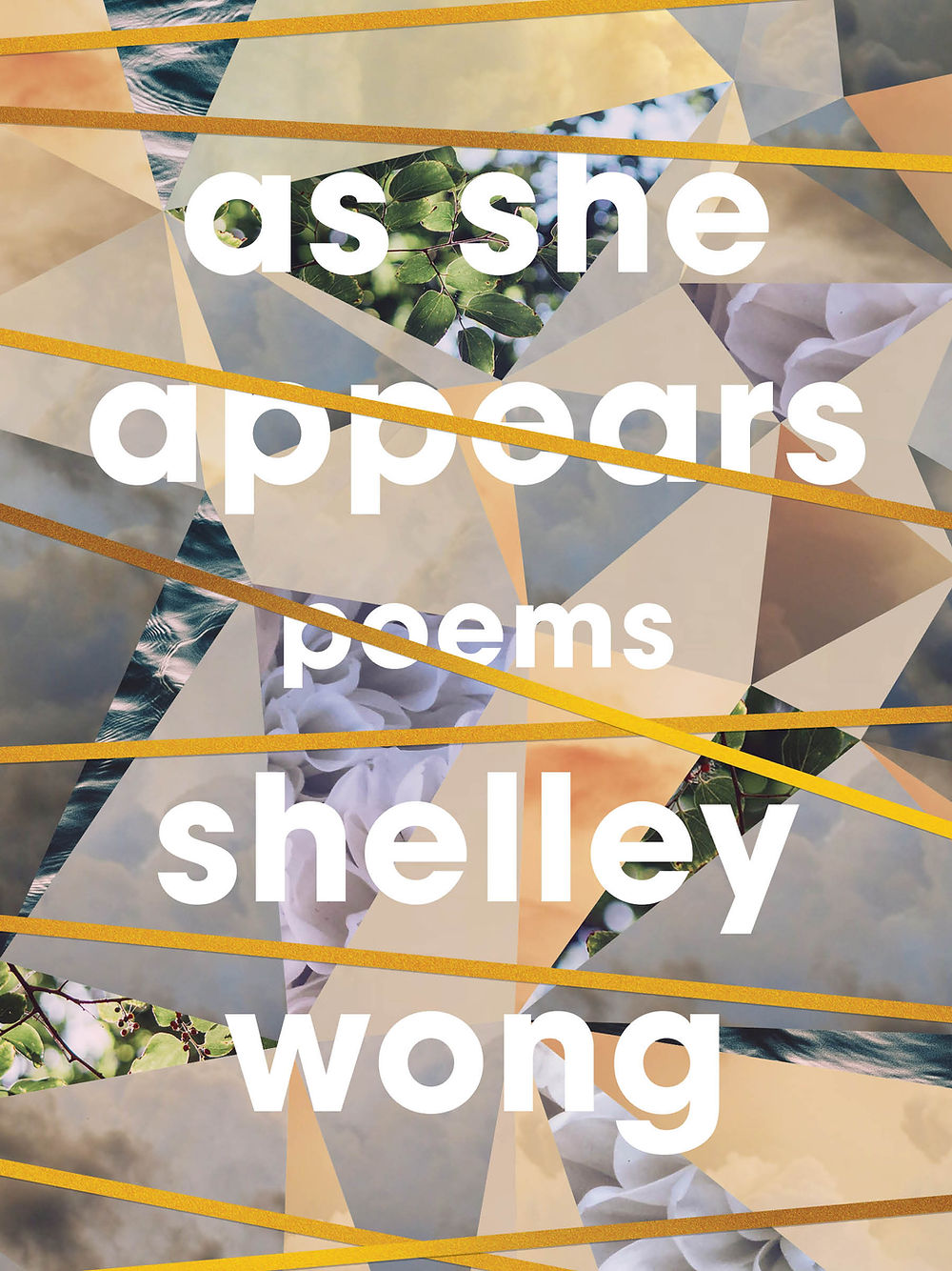 As She Appears by Shelley Wong book cover with yellow lines crossing over a fractal mosaic
