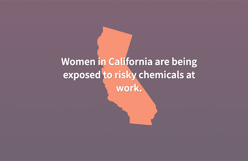 CBCRP funded the Women’s Occupations and Risks from Chemicals (WORC) project: a team of epidemiology and occupational health experts at the Public Health Institute, the California Department of Public Health, and UC San Francisco, led by Robert Harrison and Peggy Reynolds. 