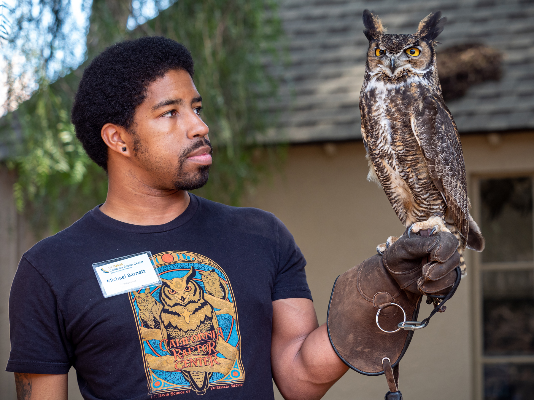 A person wearing a falconer's gauntlet with a great horned owl perched on their hand