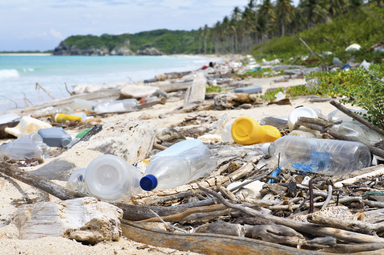 Plastic bottles litter a tropical beach