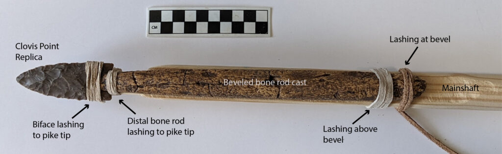 A stone, hand-carved spear tip lashed to a carved piece of bone, which is then lashed to a spear handle. Various parts of the tool are labeled, and the tool is displayed on a white background.