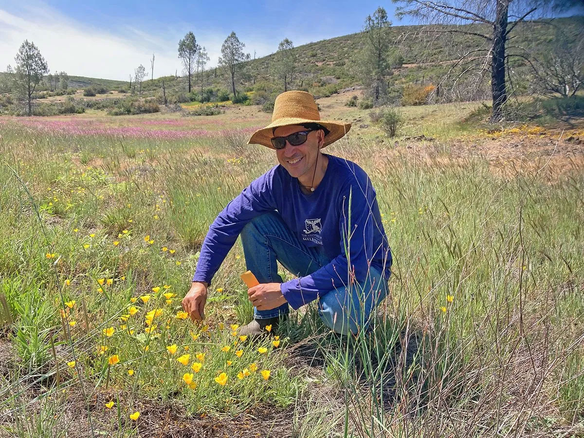 Man in blue shirt and straw hat crouches next to a cluster of wildflowers in a green field