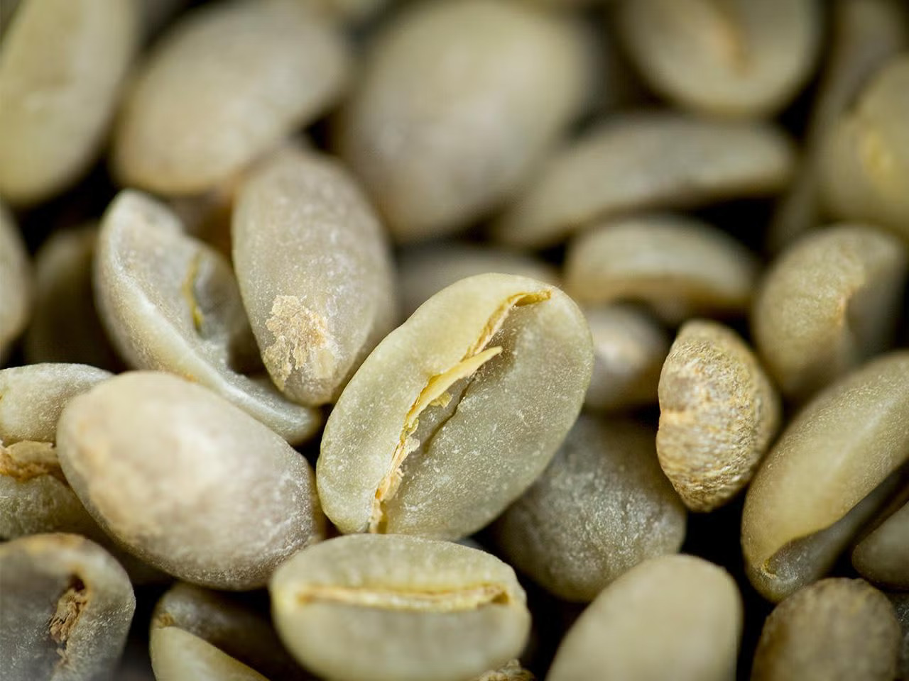 Greenish coffee beans, pebbly-looking, some in pieces