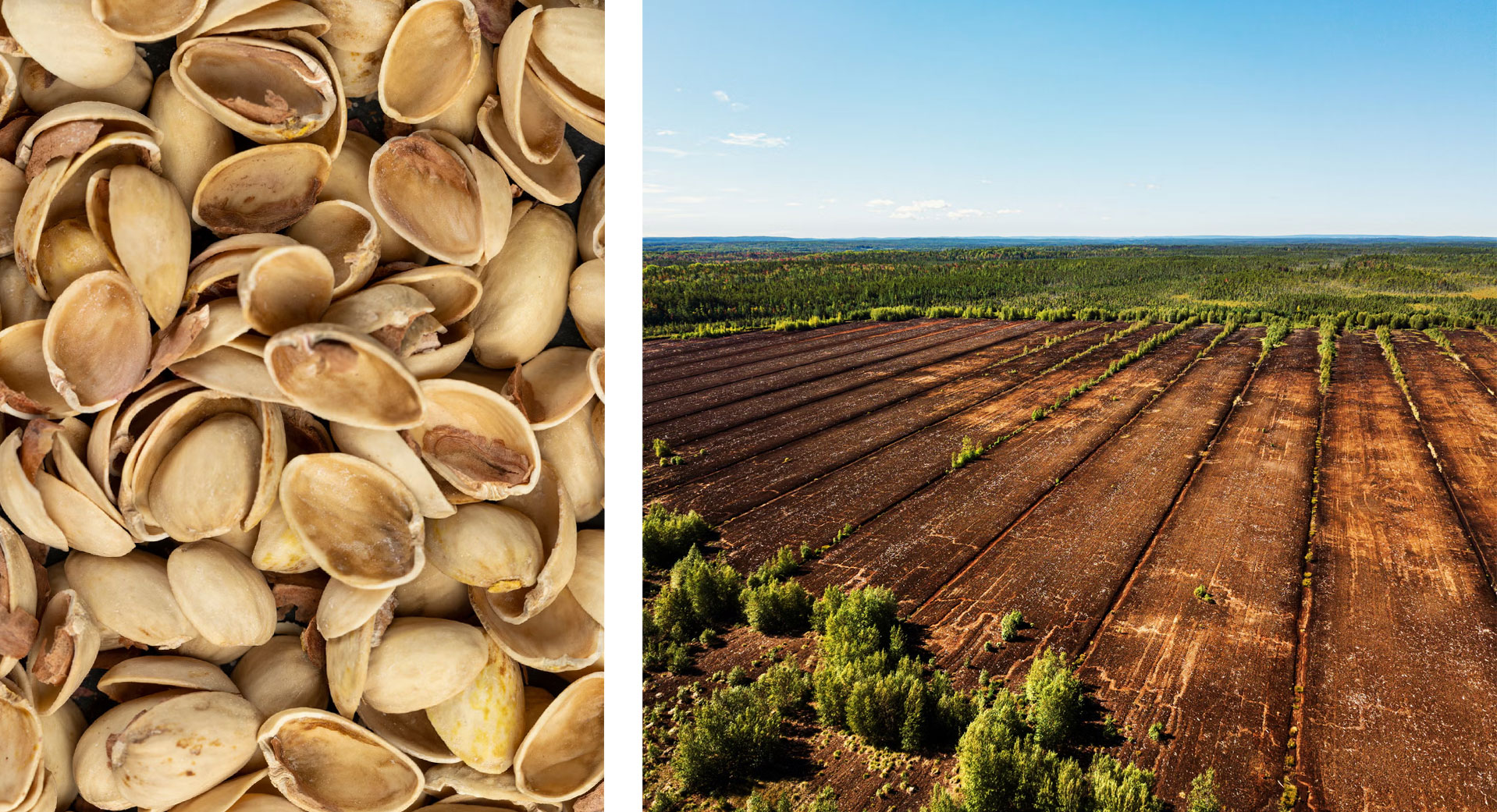 Split-screen image showing a close-up of pistachio shells on the left and an aerial image of a peat bog on the right