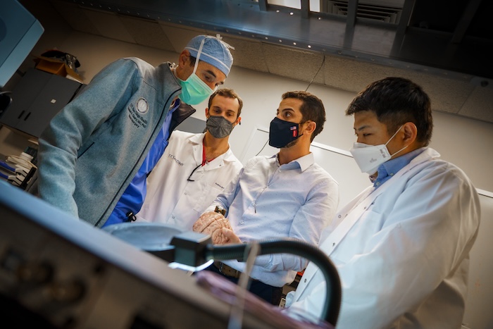 A group of doctors in lab coats and masks looking at a human brain