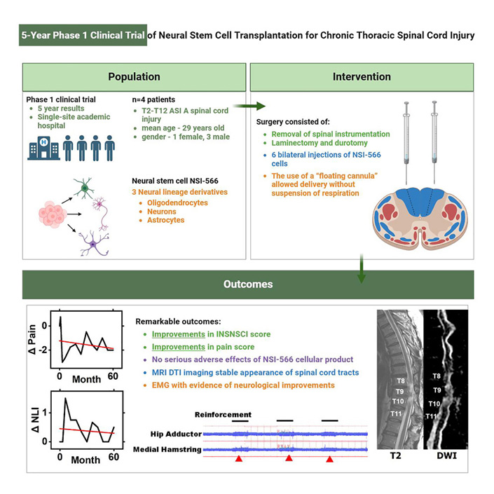 A complex visual graphic illustrating the study design