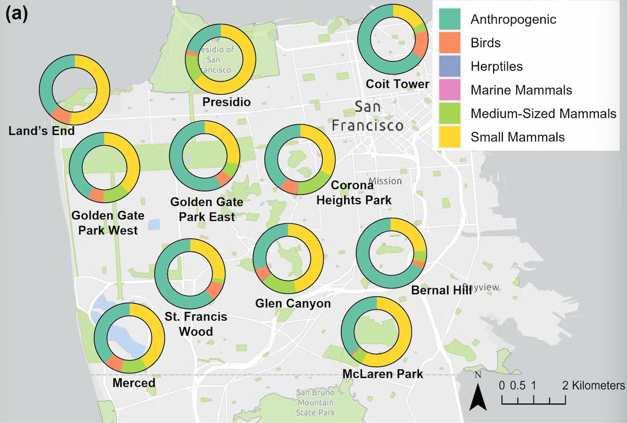 A map marked with circles showing the proportions of different foods eaten by coyotes in various parts of the city