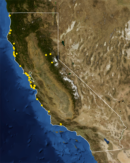 A satellite image of California, with dozens of yellow dots marking study locations, mostly alolng the coast, with a few in the northern Sierra Nevada.