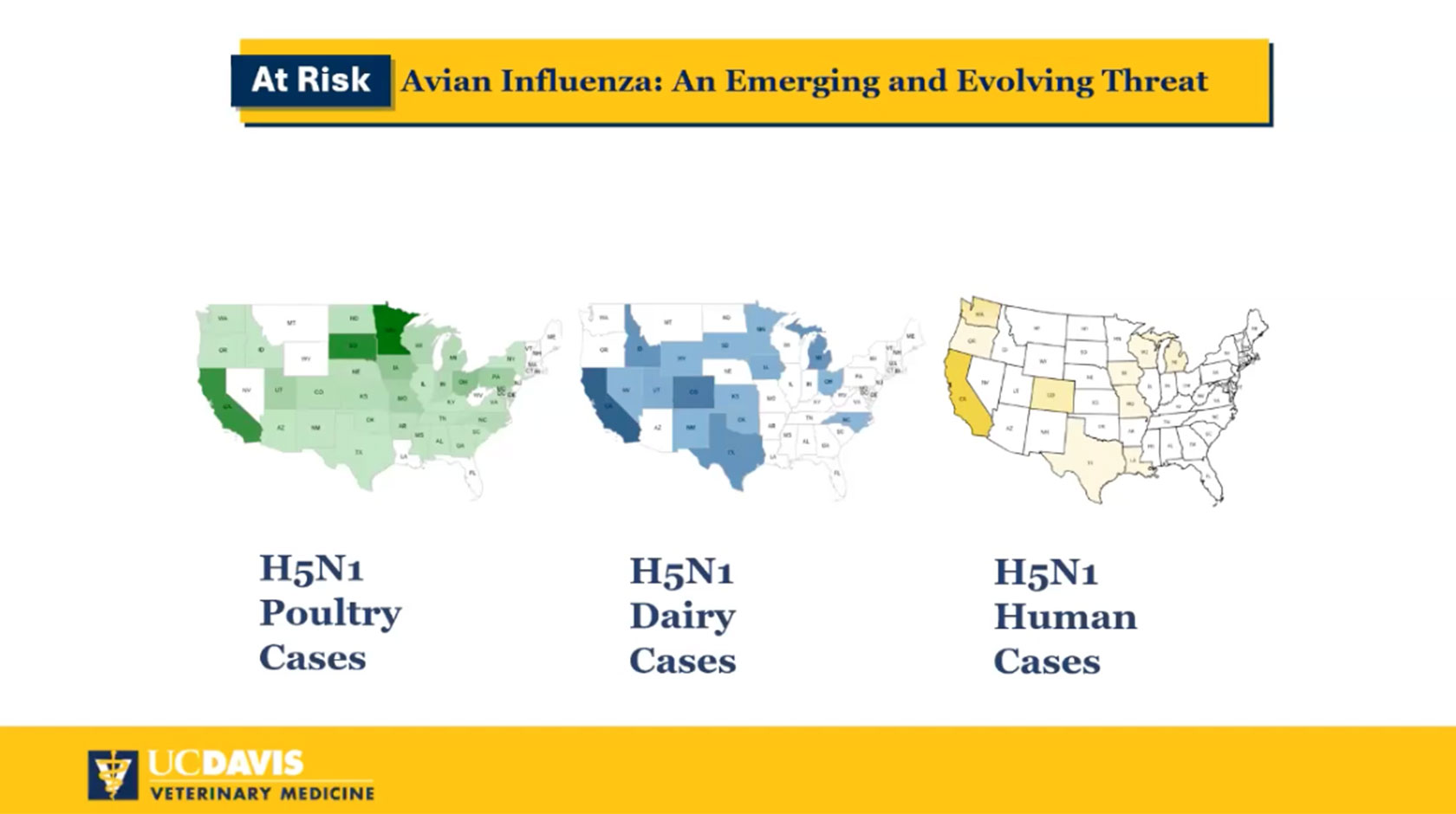 3 maps of the US, showing case #s for avian influenza among poultry, dairy and humans. California has high #s of each.