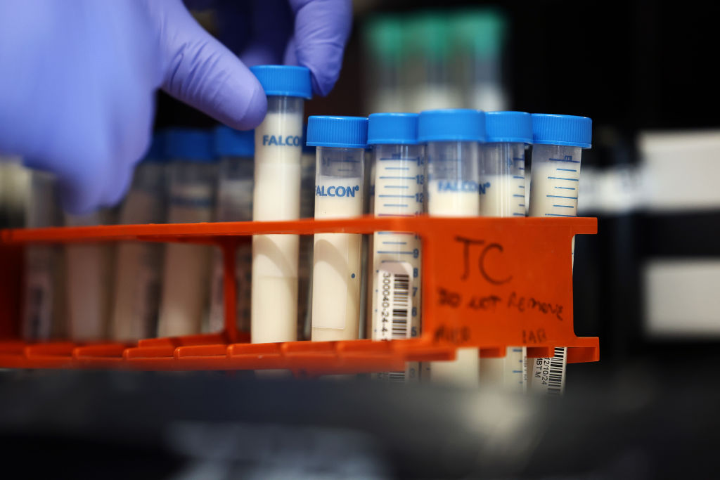 A person wearing purple gloves handles samples of milk in a rack of test tubes.