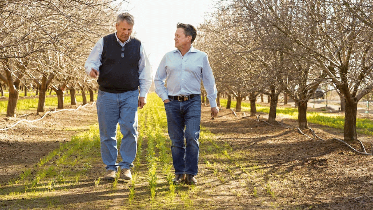 A man in a vest on the left of the image and a man in a dress shirt on the right, both walking through an almond orchard