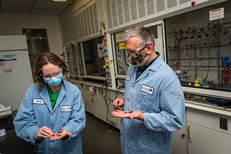Berkeley Lab scientists Brett Helms and Corinne Scown examining PDK samples at the Molecular Foundry