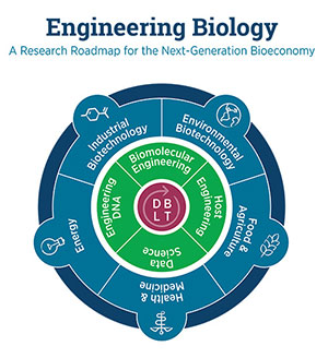 Research roadmap for the next-generation bioeconomy.