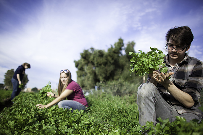 Students in garden