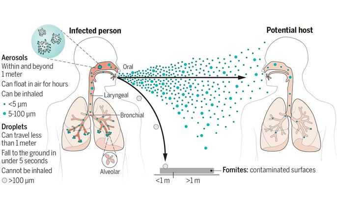 Illustration of how one person infects another via aerosols