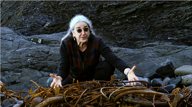 Prof. Miller with seaweed