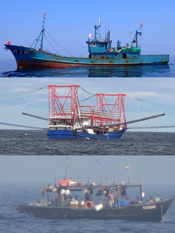 Three different types of fishing boats