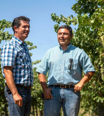 Two men stand between rows of wine grapes