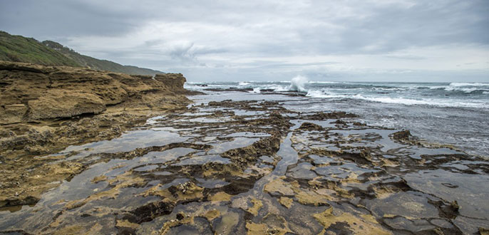 Tide pools California researchers