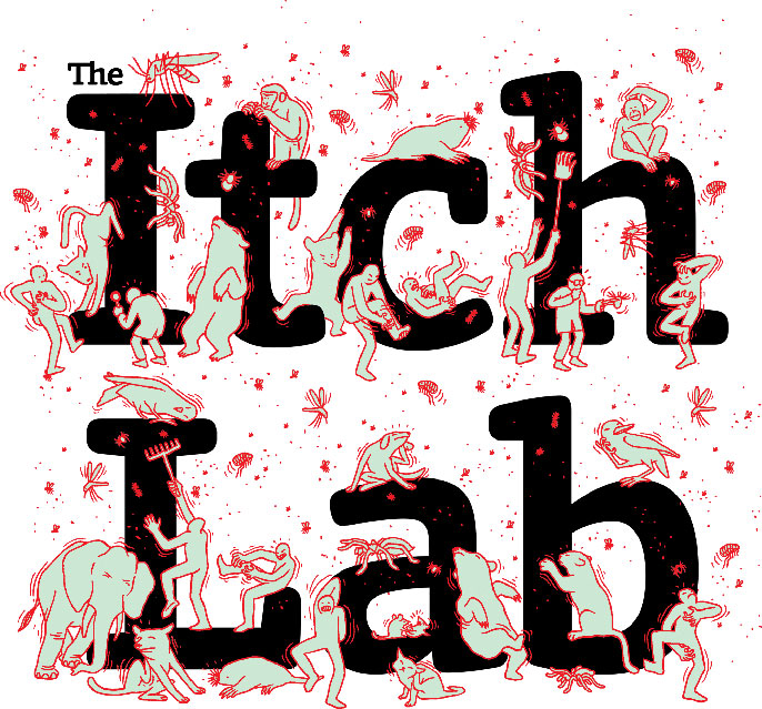 Itch Lab 