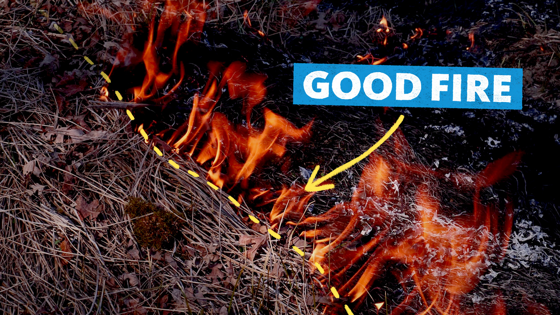 A close up photo of fire with the text "good fire" and an arrow pointing at it