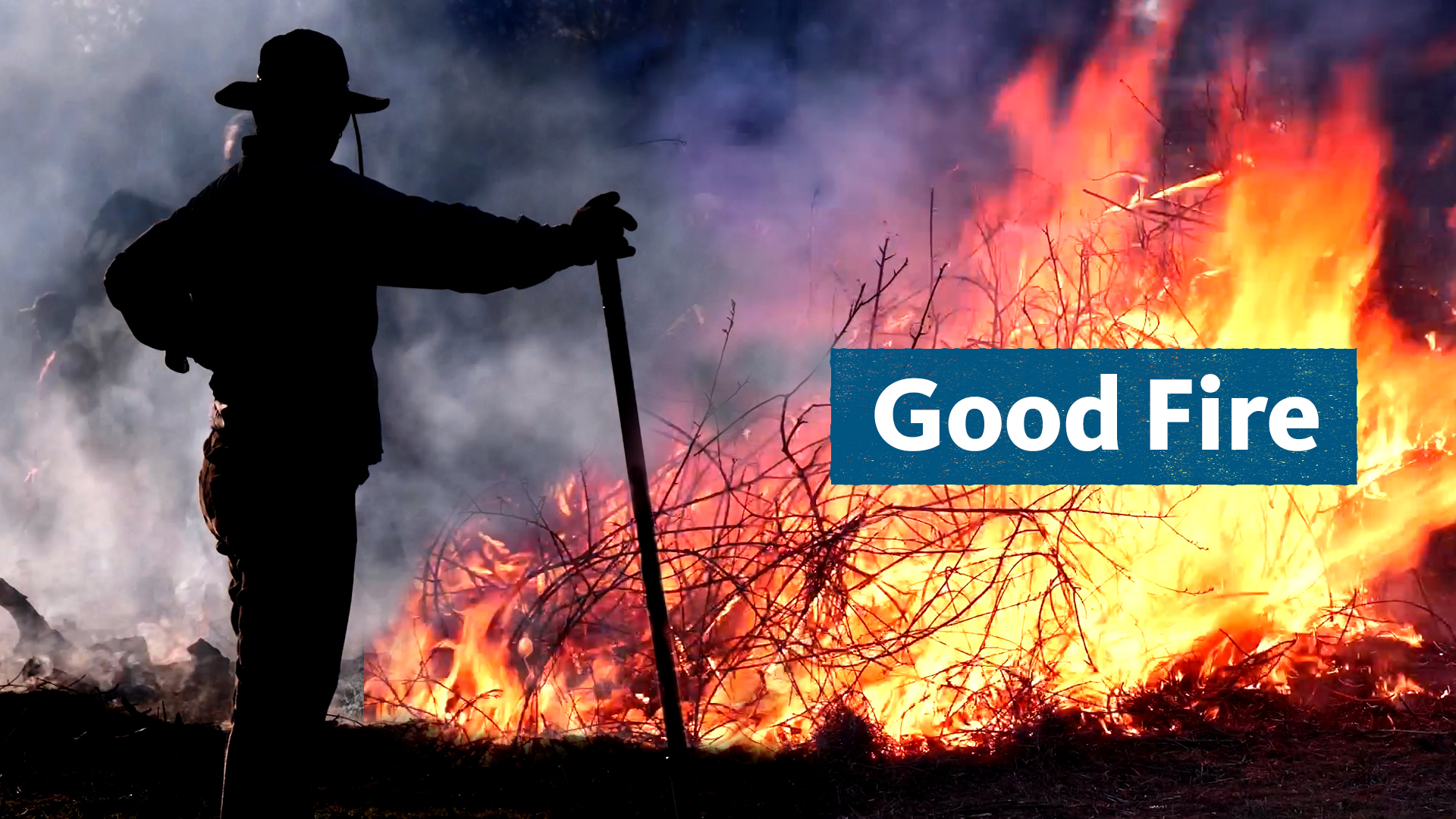A person standing next to a cultural burn with the text 'Good Fire' over the fire