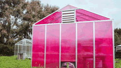Pink solar greenhouse images