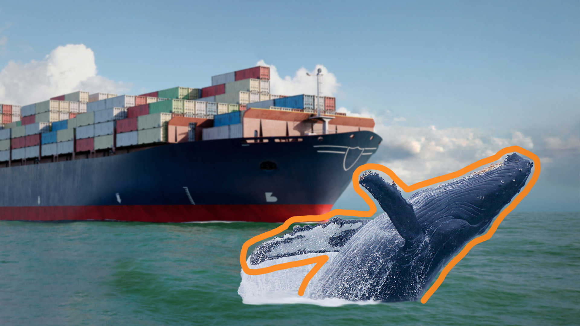 A container ship with a humpback breaching in front of it, outlined in orange
