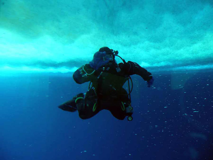 Meir under Antarctic sea