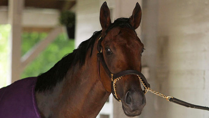 Nyquist Kentucky Derby UC Davis