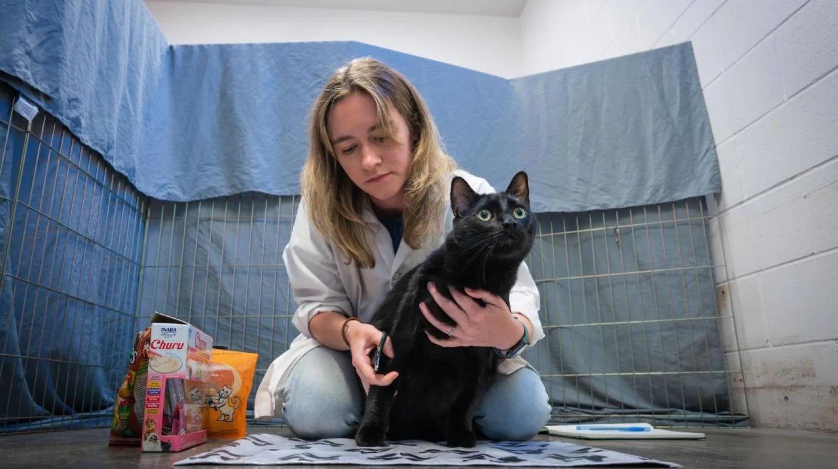 A young woman with blonde hair kneels behind a black cat holding nail trimmers. The cat is looking past the camera, and there's a tarp-covered fence and a cinder block wall in the background, suggesting an animal shelter.